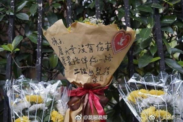 老师的诱惑2025最新版